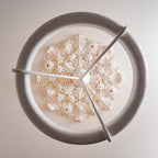 Tinsley Plaster Chandelier
